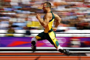 开云体育入口-街道暗影，当灰熊在F1引擎轰鸣中叼走太阳